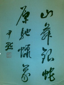 山舞银蛇 原驰蜡象